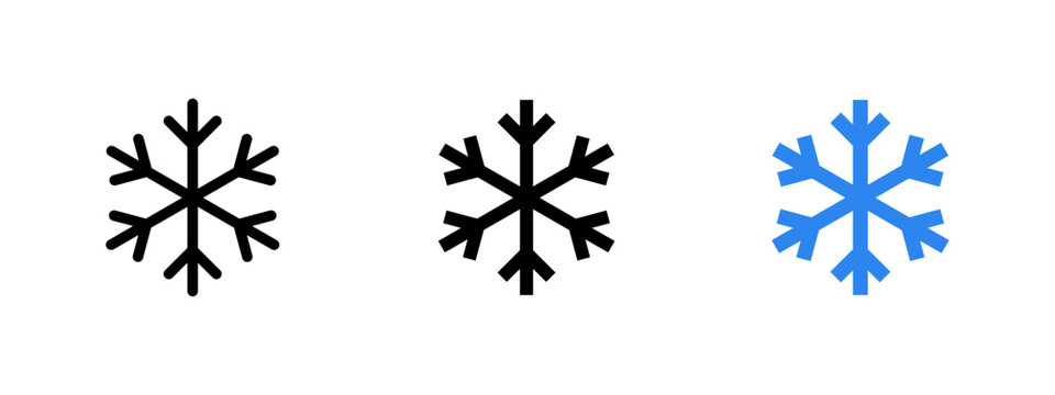 Snowflake icon. Winter and ice symbol. Cold, frost and season concept. Digital, crystal and decoration design representing snowflake, frozen and weather elements.