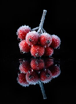 Surreal ink sketch of a female figure with exploding head, dark abstract art of a woman body with ink splatters, gothic monochrome illustration