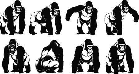 Gorilla silverback primate silhouette collection, powerful ape mascot set, wildlife animal vector illustration, black and white graphics, isolated on white background. © Robiul