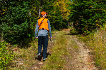 Fototapeta premium A young hunter scouring a forest trail in autumn, searching for prey.