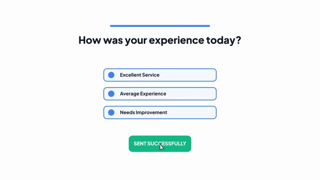 Customer Experience Feedback Survey UI with Multiple Choice Options and Green Sent Successfully Button Isolated on White Background