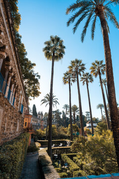 A look inside the Real Alcazar of Spain in Seville.