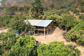 Obraz premium Serene countryside view, simple wooden structure under construction, lush green landscape with longan orchard and sloping hillside in background. Timber frame and metal sheet include.