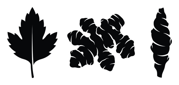 Leaf ginger root and spiral object black silhouette isolated on transparent background stylized elements