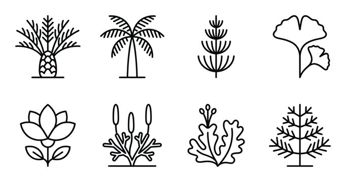 Ancient plant and tree vector collection featuring palm ginkgo lotus horsetail and cycad graphics