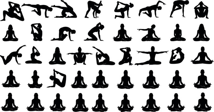 Set of colorful tropical parrot illustrations featuring macaws, budgies, cockatiels, and parakeets in various perching and flying poses for wildlifeSet 