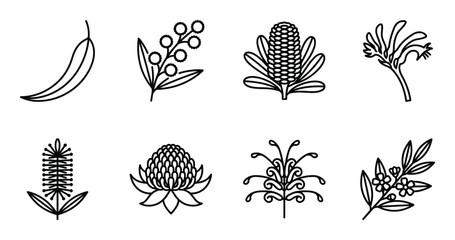 Australian native plant icons featuring banksia waratah kangaroo paw eucalyptus and wattle flowers © GoDesigner