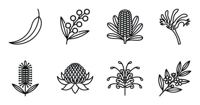 Australian native plant icons featuring banksia waratah kangaroo paw eucalyptus and wattle flowers