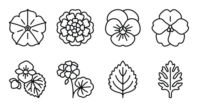 Collection of eight stylized flower and leaf line icons: pansy, marigold, geranium, simple leaf.