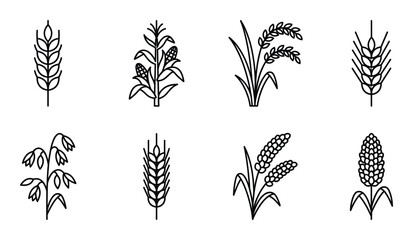 Line art icons of cereal grains, wheat, corn, rice, barley and oats on transparent background © GoDesigner
