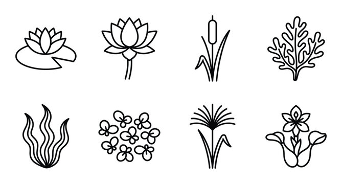 Set of eight black outline aquatic plants isolated on transparent background vector illustration