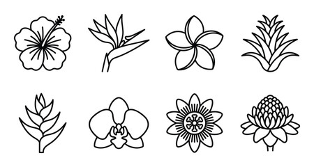 Set of tropical flower outline icons, hibiscus, bird of paradise, plumeria and orchid © GoDesigner