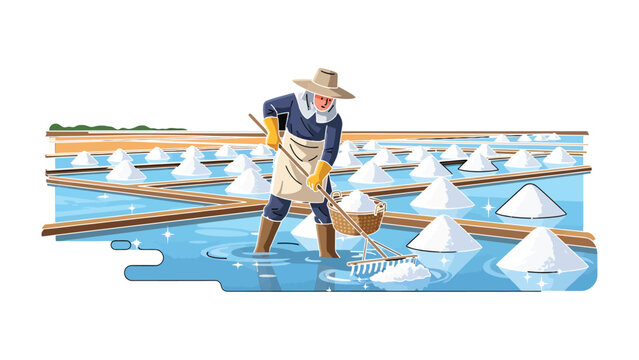 Salt Farmer's Harvest: An artisan, working diligently, gathers the crystallised bounty of a sun-kissed salt field. Witness the culmination of labor, dedication.