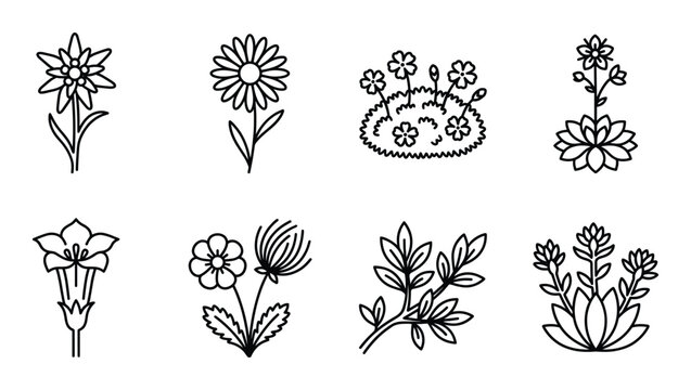 Wildflowers and garden flowers line icons edelweiss daisy flower cluster lotus bloom plant