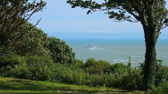 F&auml;hr Schiff im Meer, eingerahmt von B&auml;umen im Vordergrund, unter klarem Himmel, Sommer, &Auml;rmelkanal, Dover, Kent, England, Gro&szlig;britannien