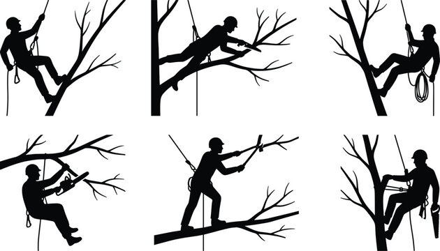 Arborist tree climber silhouettes vector set with rope safety equipment cutting branches chainsaw workers black silhouette collection isolated forestry design pack