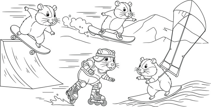 Cute hamster extreme sports vector set with skateboarding, skiing, roller skating and windsurfing, cartoon outline illustration collection