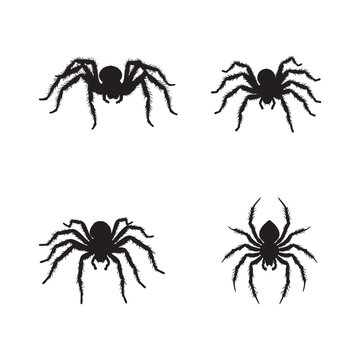 Black barn spider silhouettes arranged in a grid pattern