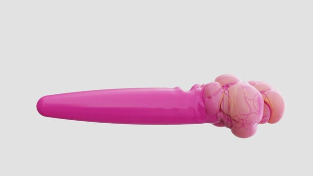 inflatable progress bar