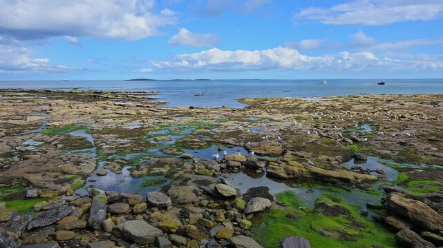Felsiges K&uuml;stengebiet mit Blick auf das Meer unter einem bew&ouml;lkten Himmel, Seahouses, Northumberland, England, Gro&szlig;britannien