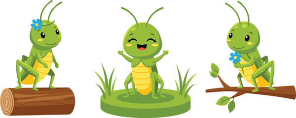 Set of cute grasshopper characters in different poses isolated on white background cartoon insect vector illustration collection © Prodip