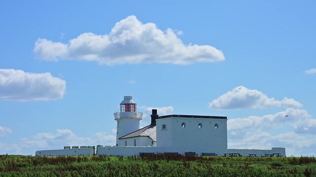 Klassischer Leuchtturm neben wei&szlig;em Geb&auml;ude in gr&uuml;ner Landschaft unter heiterem Himmel, Inner Farne Lighthouse, Seahouses, Inner Farne, Farne Inseln, Northumberland, England, Gro&szlig;britannien