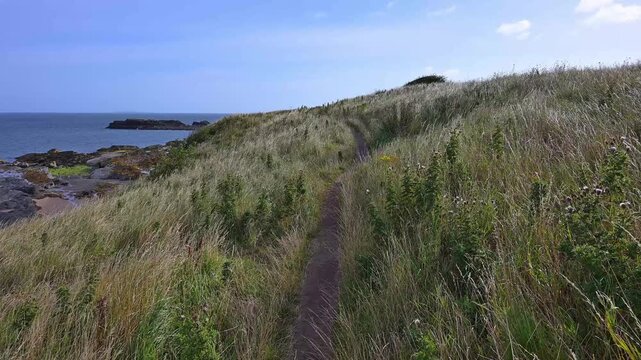 Schmaler Pfad durch grasbewachsene H&uuml;gel entlang der K&uuml;ste mit Blick auf das Meer, North Berwick, East Lothian, Schottland, Vereinigtes K&ouml;nigreich, Gro&szlig;britannien