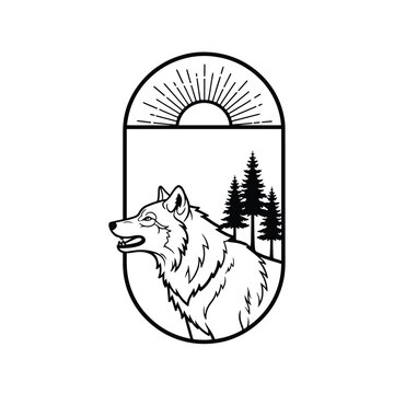 Majestic lone wolf illustration at dawn in a wild forest with sun rays and pine trees