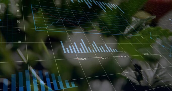 Holographic HUD reacting to camera pan, sliding charts, expanding ring, mapping agriculture metrics