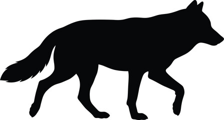 Black silhouette of a wolf walking to the right side © Meow