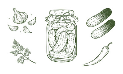 Pickled cucumber set outline sketch vector illustration. Preserved vegetable jar and sliced pickles thin line vector illustration for food design © Stock4line