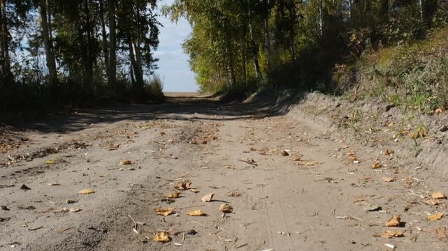 Winding country road among  thickets of  forest, ride through the picturesque farmland of the rural surroundings