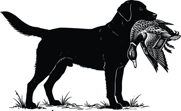 Vector File Bird Dogs