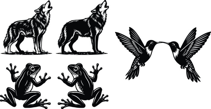 Wild Animal Vector Illustration Set Featuring Howling Wolves Flying Hummingbirds and Tree Frogs in Vintage Linocut Engraving Style for Graphic Design