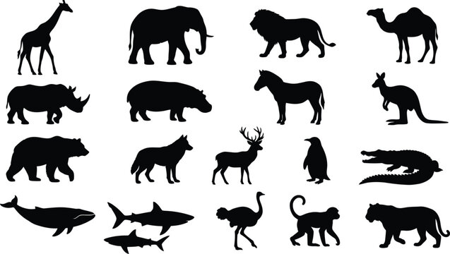 Black silhouettes of various wild animals in different poses and sizes