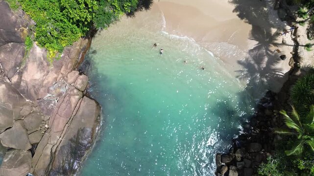 Aerial drone view of Portugues Beach in Ubatuba, Brazil. Hidden tropical cove with crystal clear turquoise water, white sand and lush rainforest coastline in Sao Paulo state.