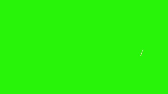 Grissini stick bread food realistic animation on green screen, traditional italian bred specific