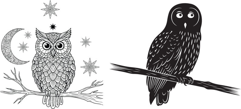 Zentangle owl coloring page.Line drawing of an owl perched on a branch, detailed illustration with intricate feather patterns.