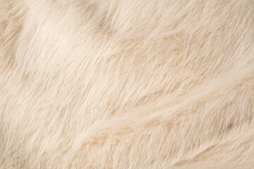 Fototapeta premium Close up of soft light beige faux fur textile providing warm luxurious cozy texture background