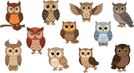 Fototapeta premium Owl Character Vector Set with Different Species and Cute Cartoon Styles for Wildlife Illustration, Forest Animals, Education and Kids Design Collection