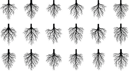 Large collection of black vector tree root systems featuring detailed organic line art silhouettes of plant underground branching for nature science and environmental growth designs. © Hosneara