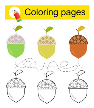 Educational game for kids. Go through the maze and color a cartoon acorn according to the pattern.