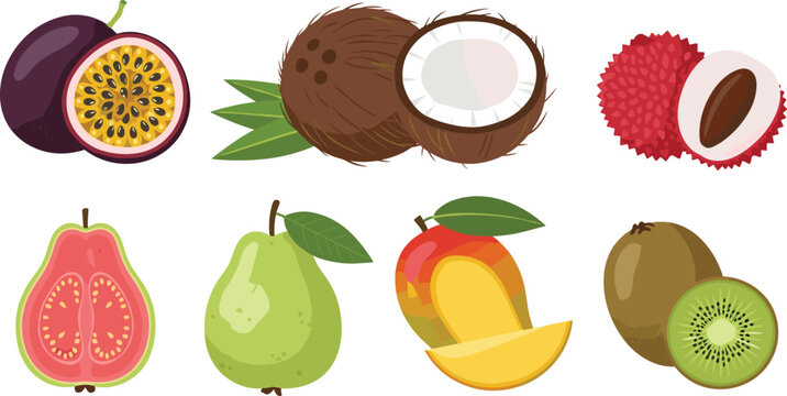 Tropical Fruit Vector Set with Passion Fruit, Coconut, Lychee, Guava, Pear, Mango and Kiwi for Healthy Food Design, Packaging and Organic Illustration