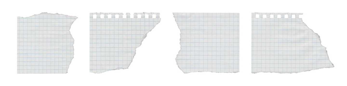 Set of four torn perforated graph paper fragments on transparent background