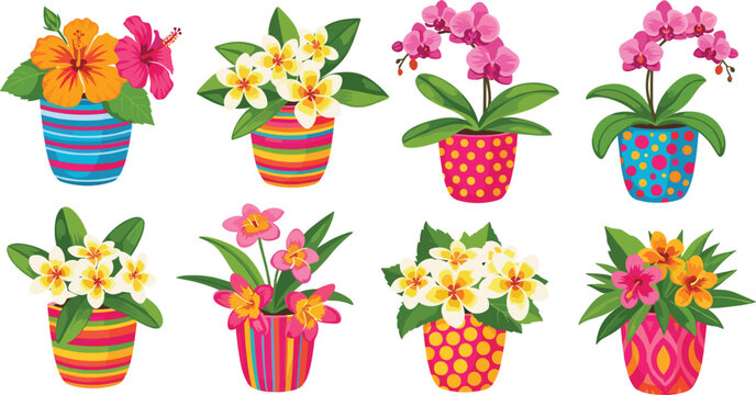 Colorful Flower Pots with Hibiscus, Orchids, and Vibrant Blooms in Bright Striped and Polka Dot Containers