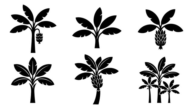 Tropical banana tree silhouette collection, set of 6 exotic palm plant icons, black botanical vector elements for summer branding and logo design