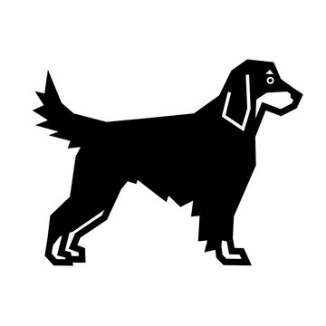 Gordon Setter