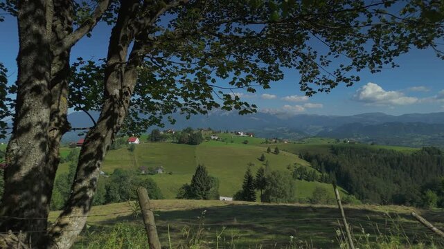 Stunning Carpathian panorama through a natural tree frame, mown hayfields and scattered houses in Pestera with Bucegi mountains, aerial horizontal tracking shot