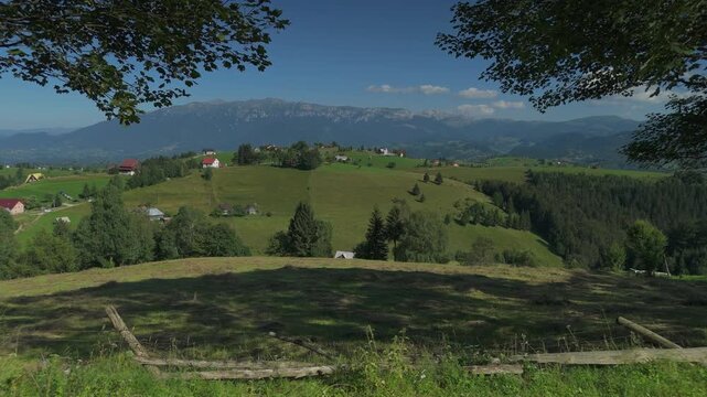 Breathtaking push forward through a natural tree frame revealing mown hayfields and scattered houses in Pestera with Bucegi mountains, aerial tracking shot