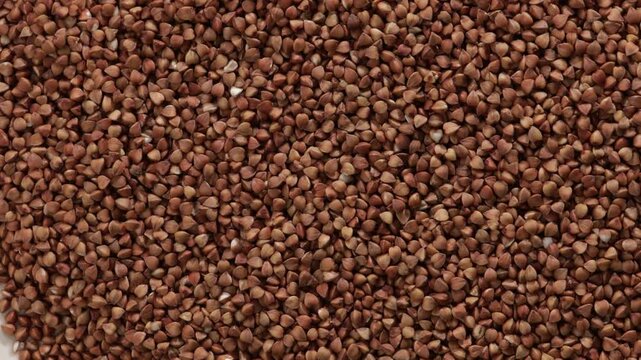 uncooked buckwheat rotation top view